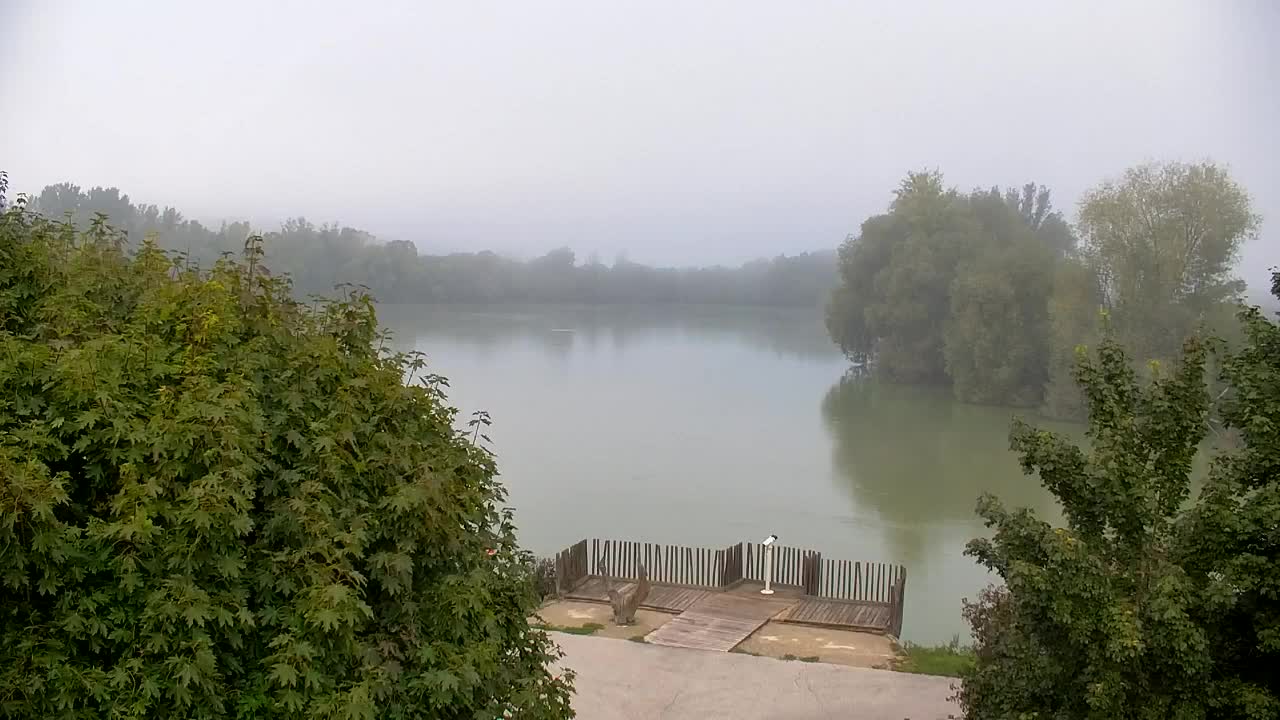 Webcam Ribnik Vrbje – Žalec