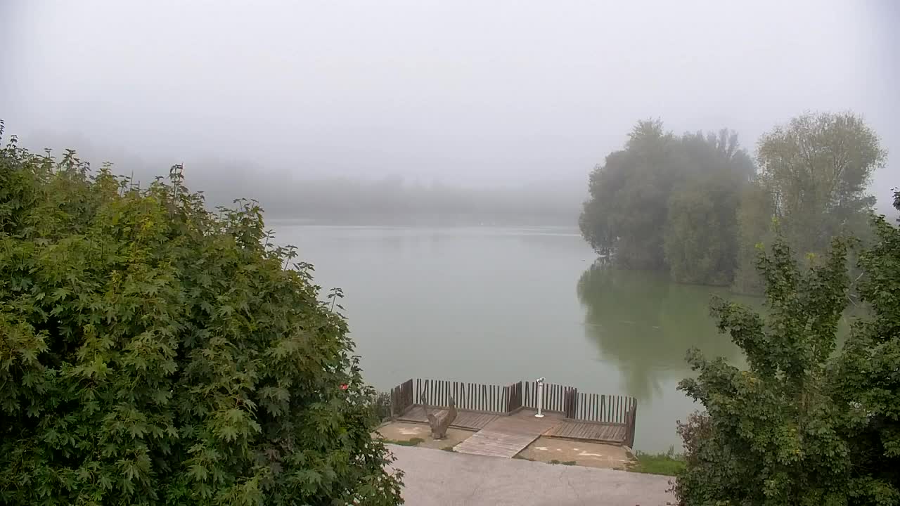 Webcam Ribnik Vrbje – Žalec