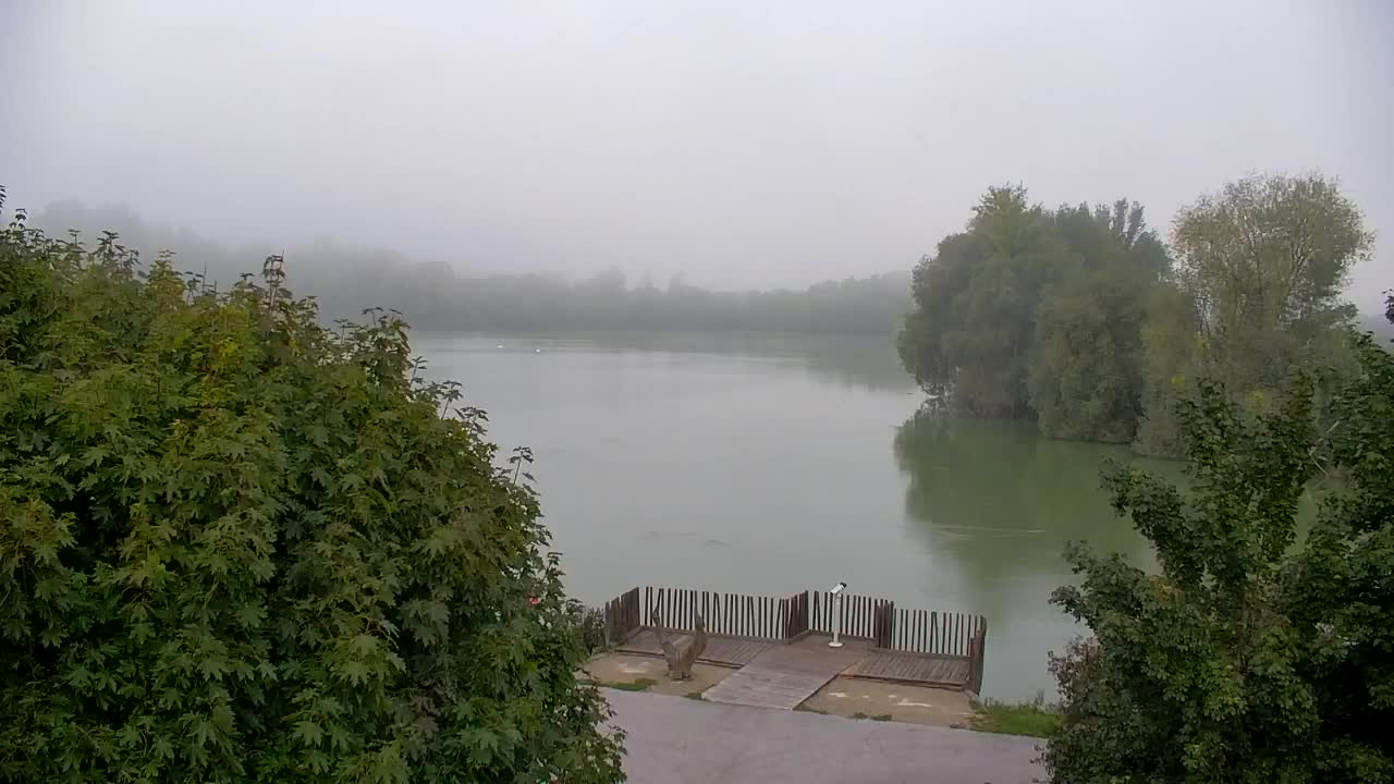 Webcam Ribnik Vrbje – Žalec