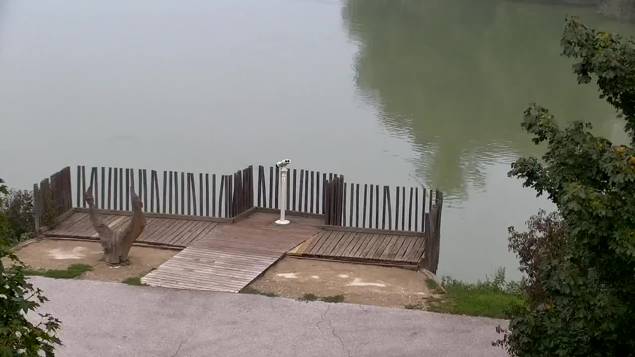 Spletna kamera Ribnik Vrbje – Žalec