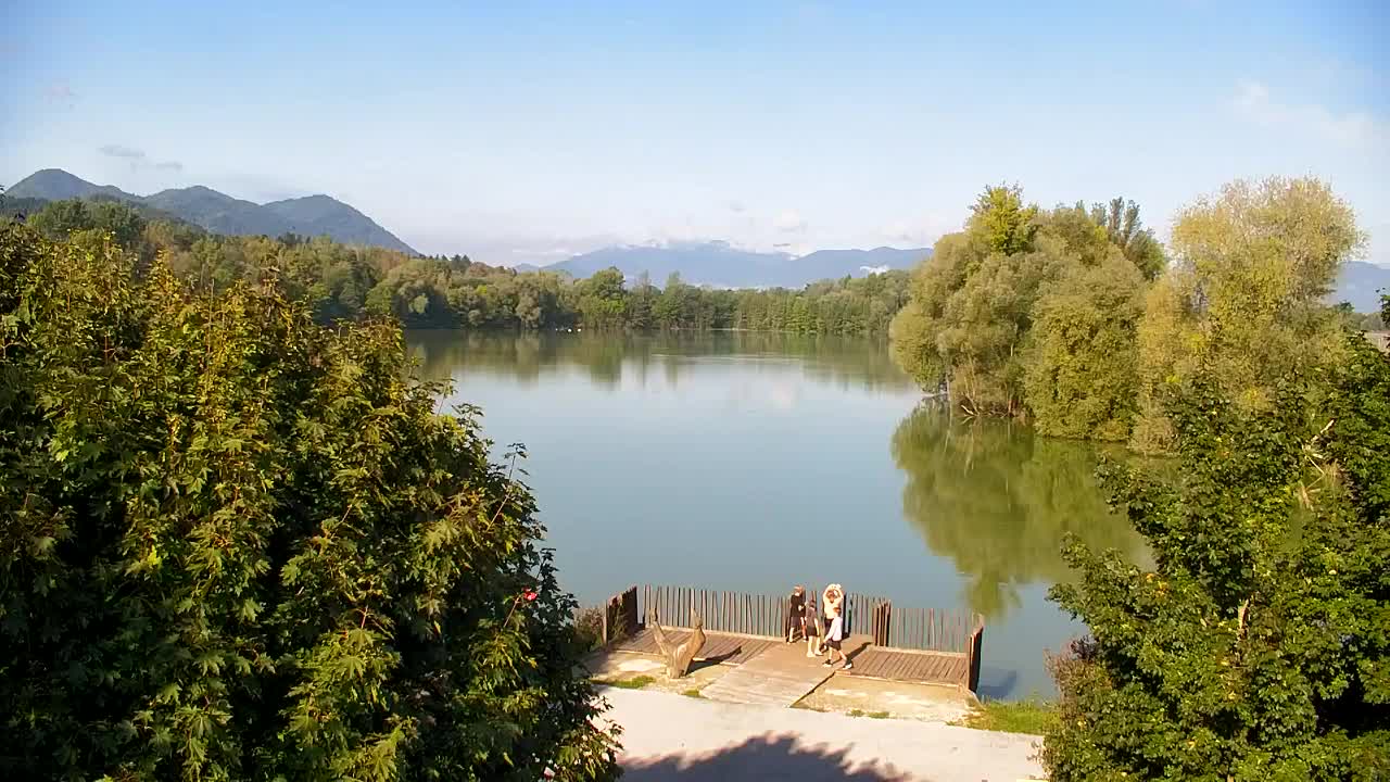 Webcam Ribnik Vrbje – Žalec