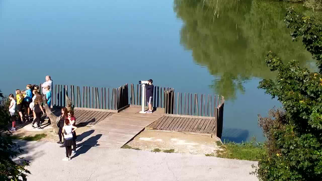 Webcam Ribnik Vrbje – Žalec