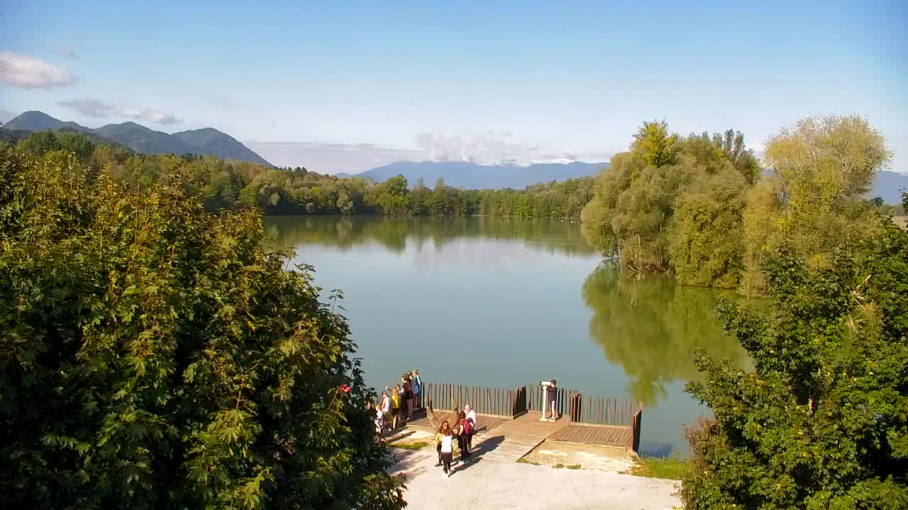 Webcam Ribnik Vrbje – Žalec
