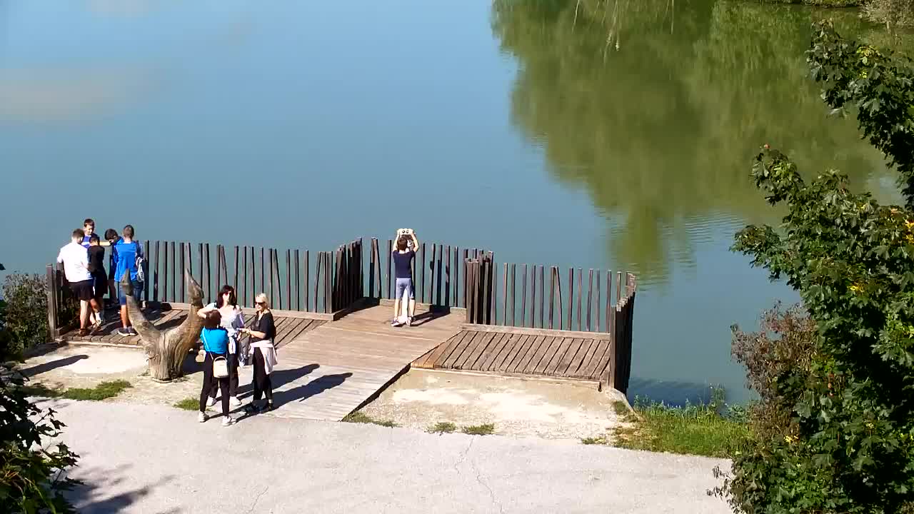 Webcam Ribnik Vrbje – Žalec