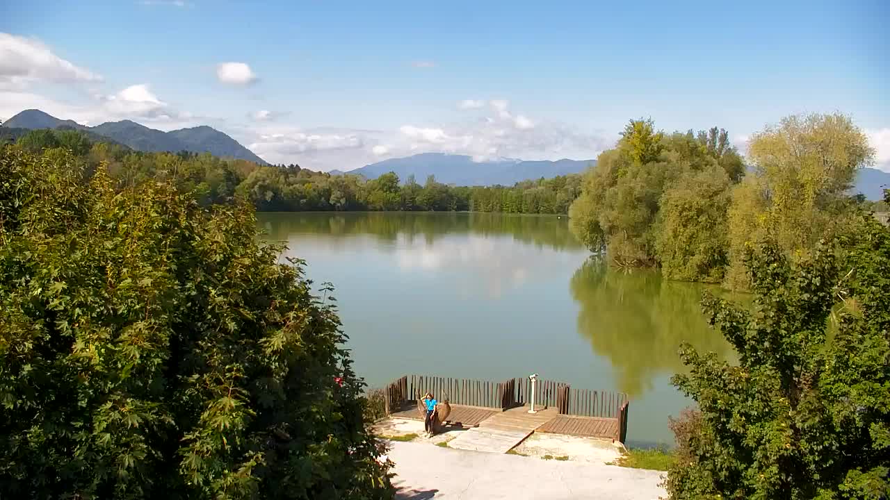 Webcam Ribnik Vrbje – Žalec