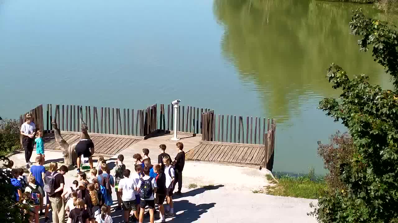 Web kamera Ribnik Vrbje – Žalec