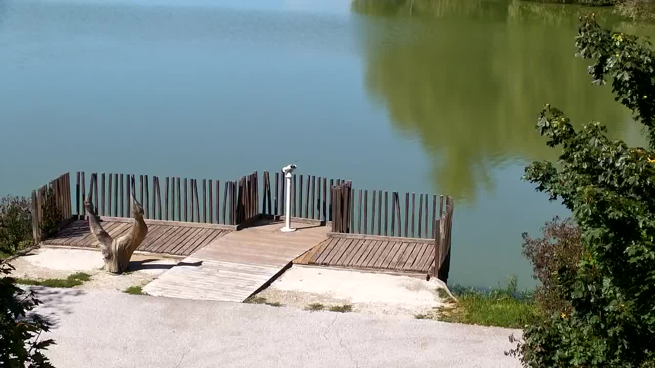 Webcam Ribnik Vrbje – Žalec
