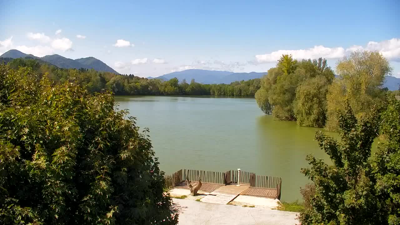 Webcam Ribnik Vrbje – Žalec