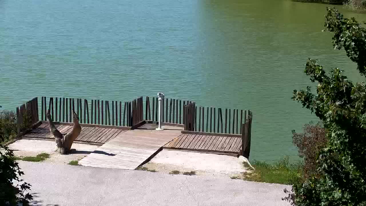 Web kamera Ribnik Vrbje – Žalec
