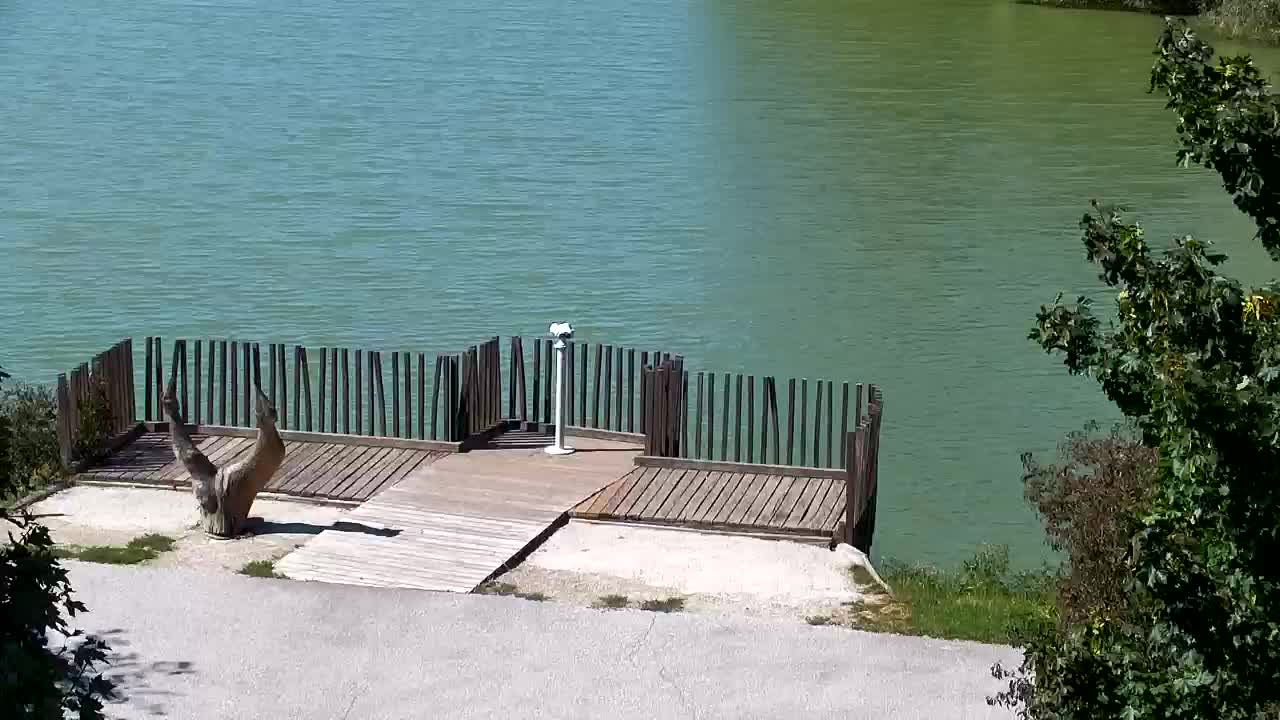 Webcam Ribnik Vrbje – Žalec