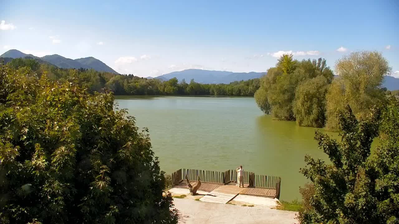 Webcam Ribnik Vrbje – Žalec