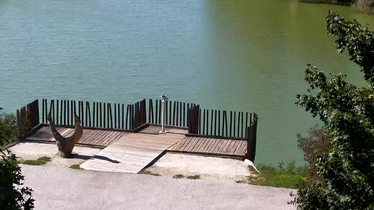 Webcam Ribnik Vrbje – Žalec