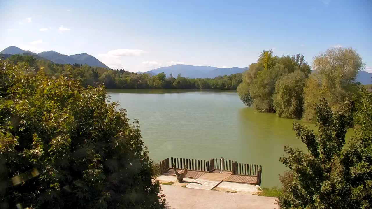 Webcam Ribnik Vrbje – Žalec