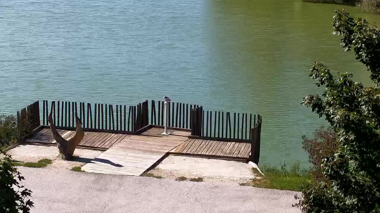 Webcam Ribnik Vrbje – Žalec