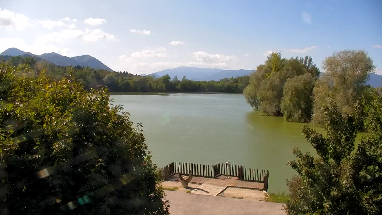 Webcam Ribnik Vrbje – Žalec