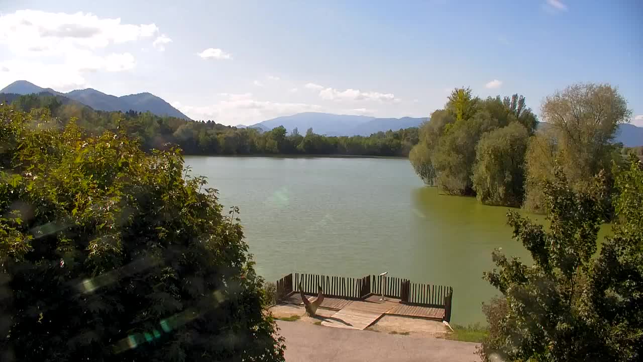 Webcam Ribnik Vrbje – Žalec