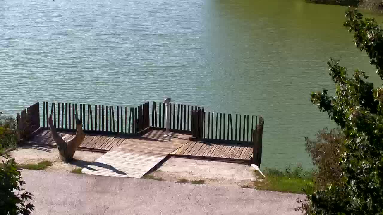 Webcam Ribnik Vrbje – Žalec