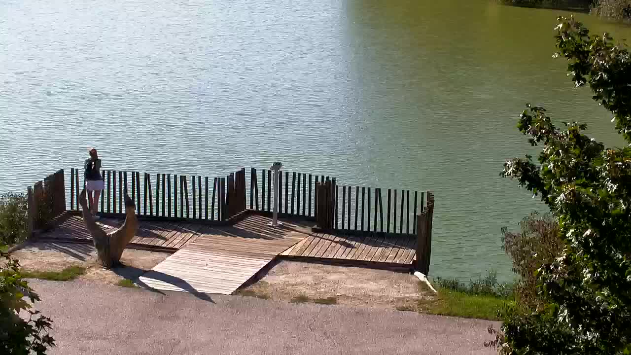 Spletna kamera Ribnik Vrbje – Žalec
