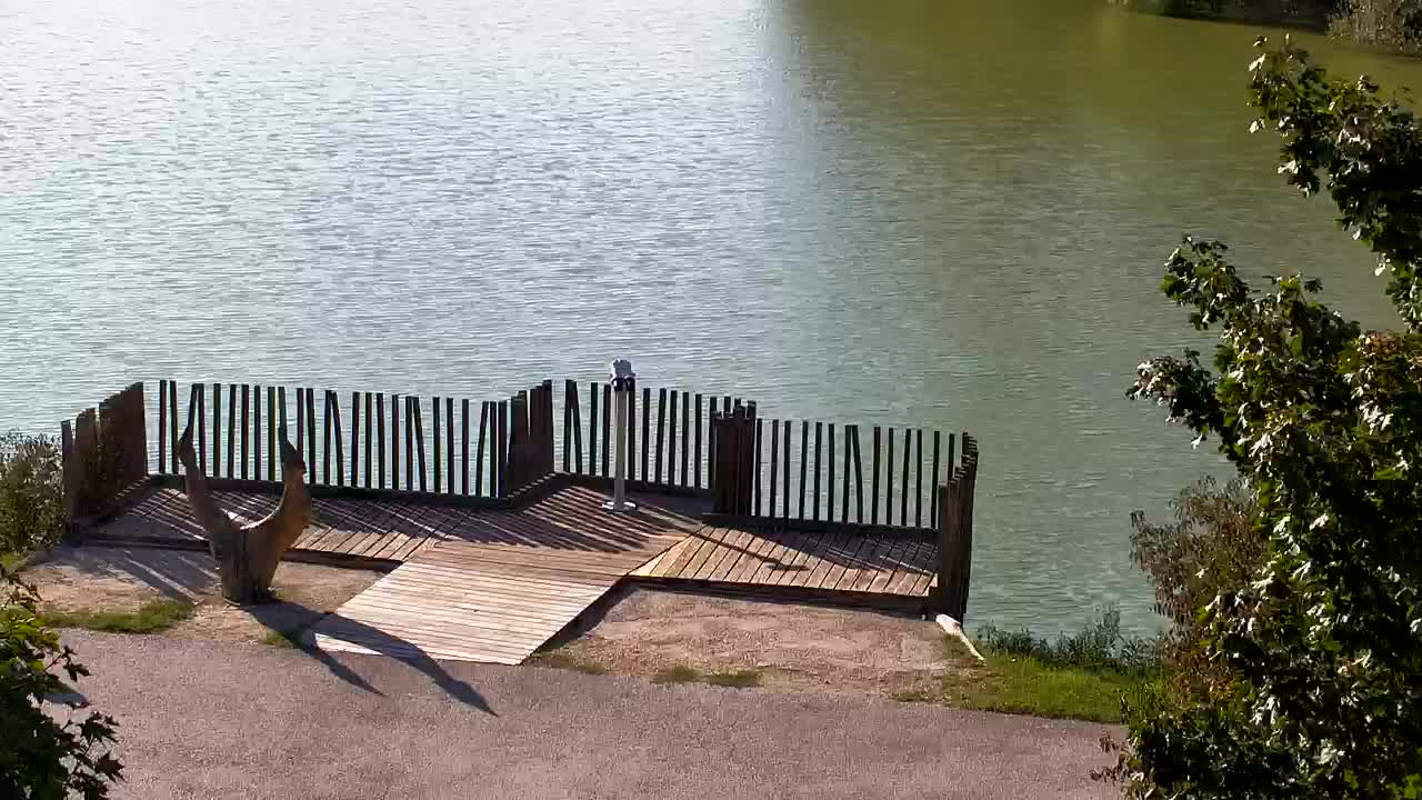 Webcam Ribnik Vrbje – Žalec