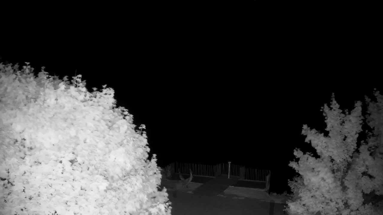 Webcam Ribnik Vrbje – Žalec