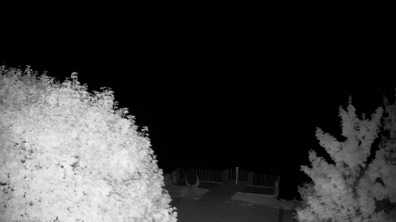 Webcam Ribnik Vrbje – Žalec