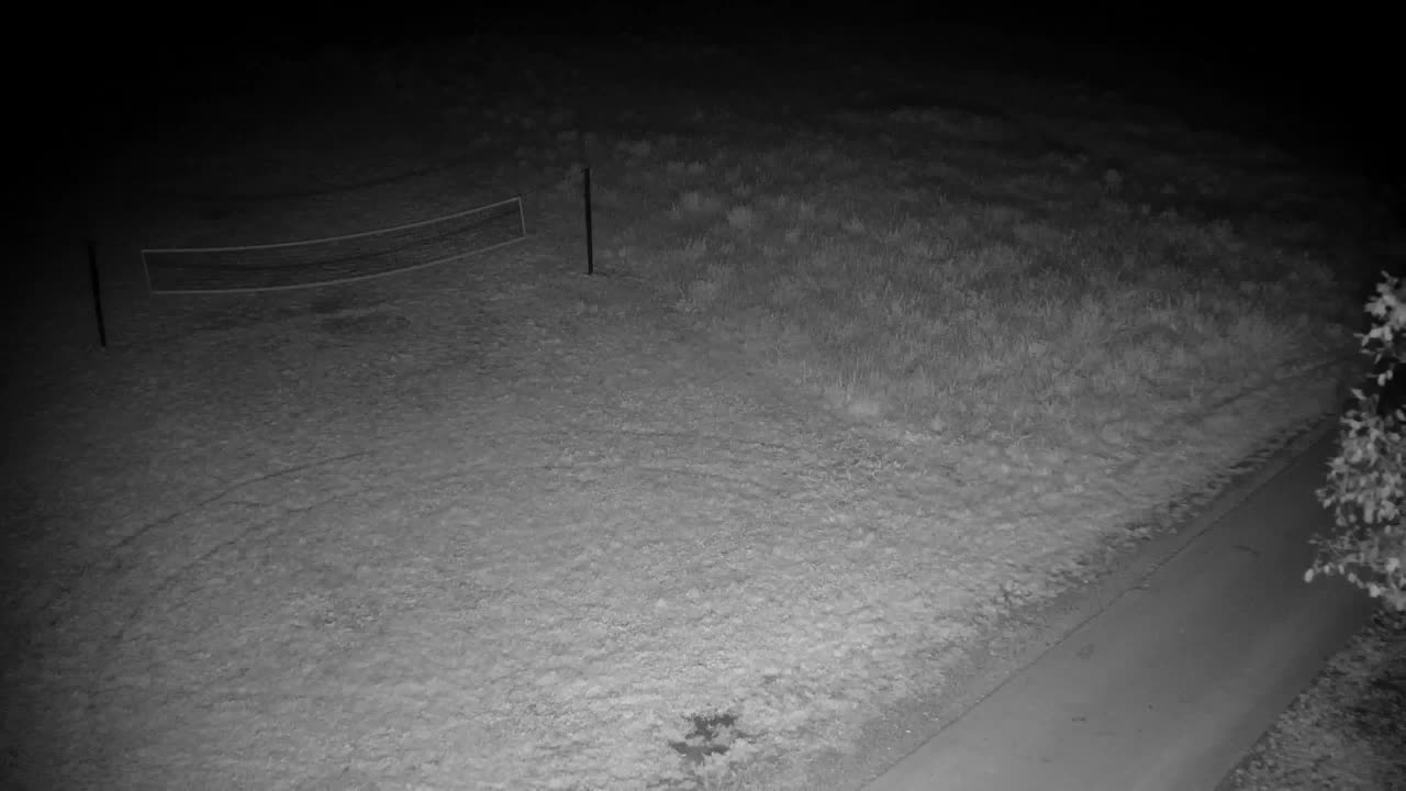 Webcam Ribnik Vrbje – Žalec