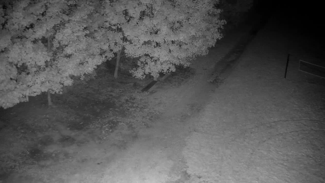 Webcam Ribnik Vrbje – Žalec
