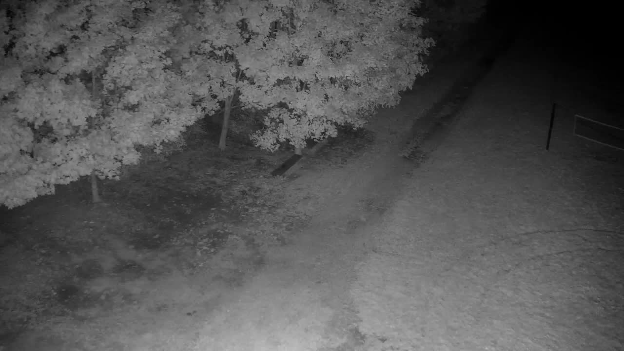 Webcam Ribnik Vrbje – Žalec