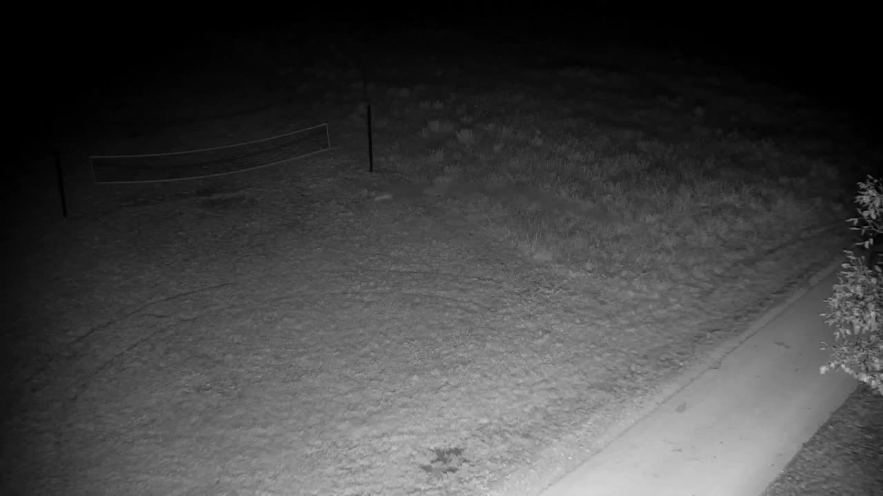 Webcam Ribnik Vrbje – Žalec