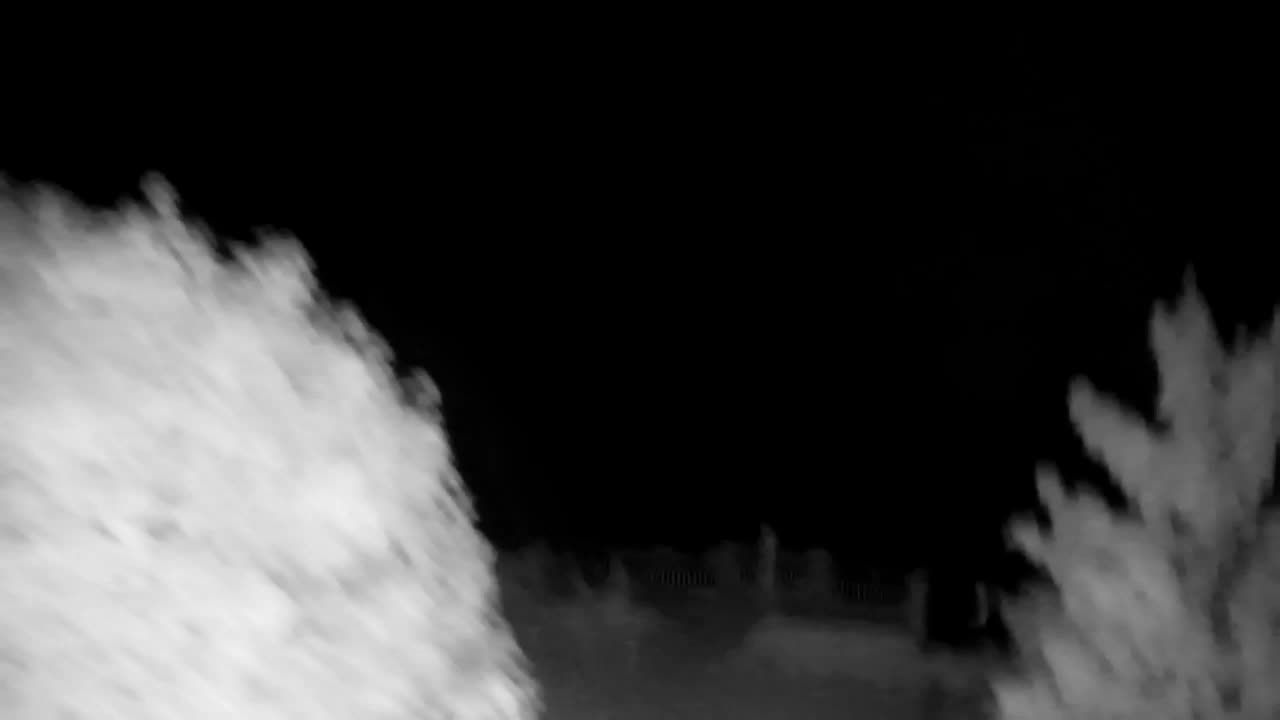 Webcam Ribnik Vrbje – Žalec