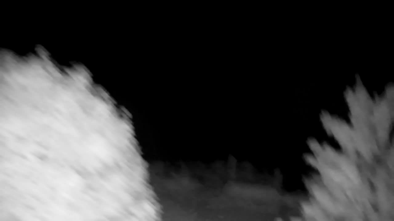 Spletna kamera Ribnik Vrbje – Žalec