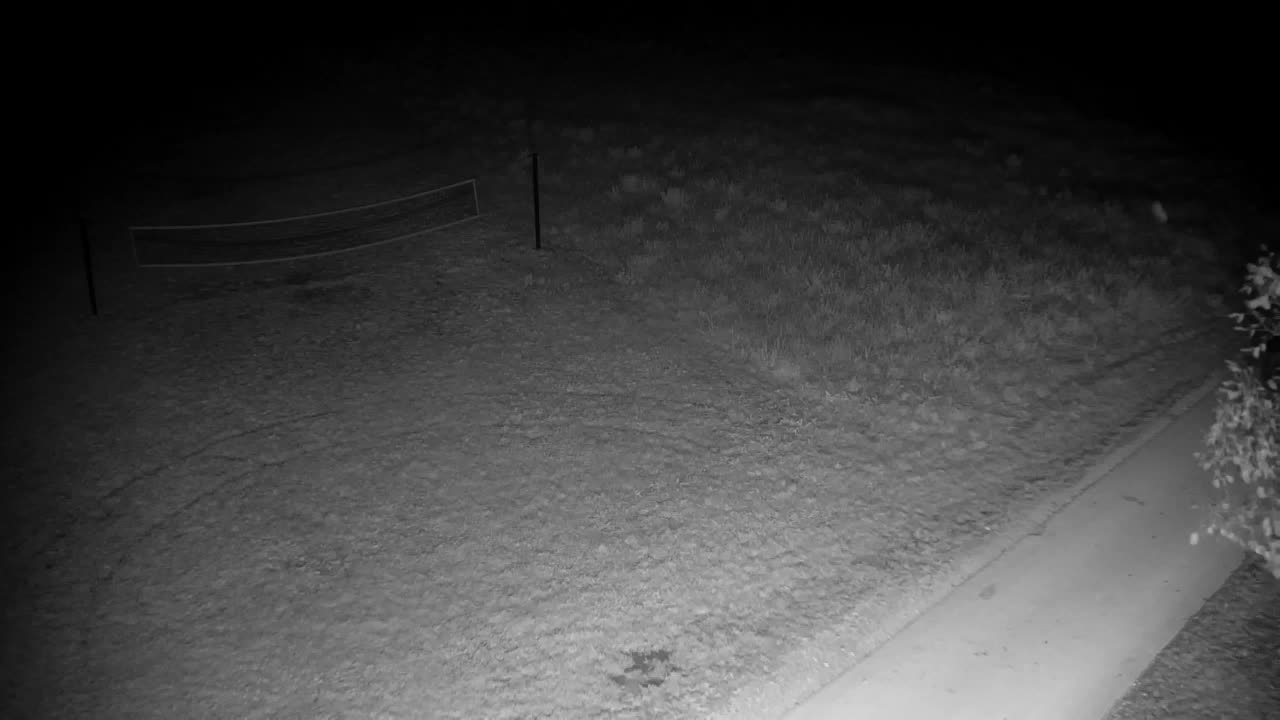 Webcam Ribnik Vrbje – Žalec