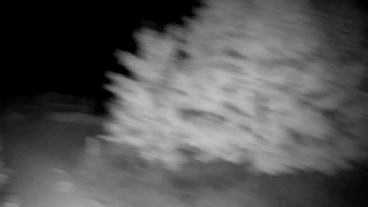 Webcam Ribnik Vrbje – Žalec