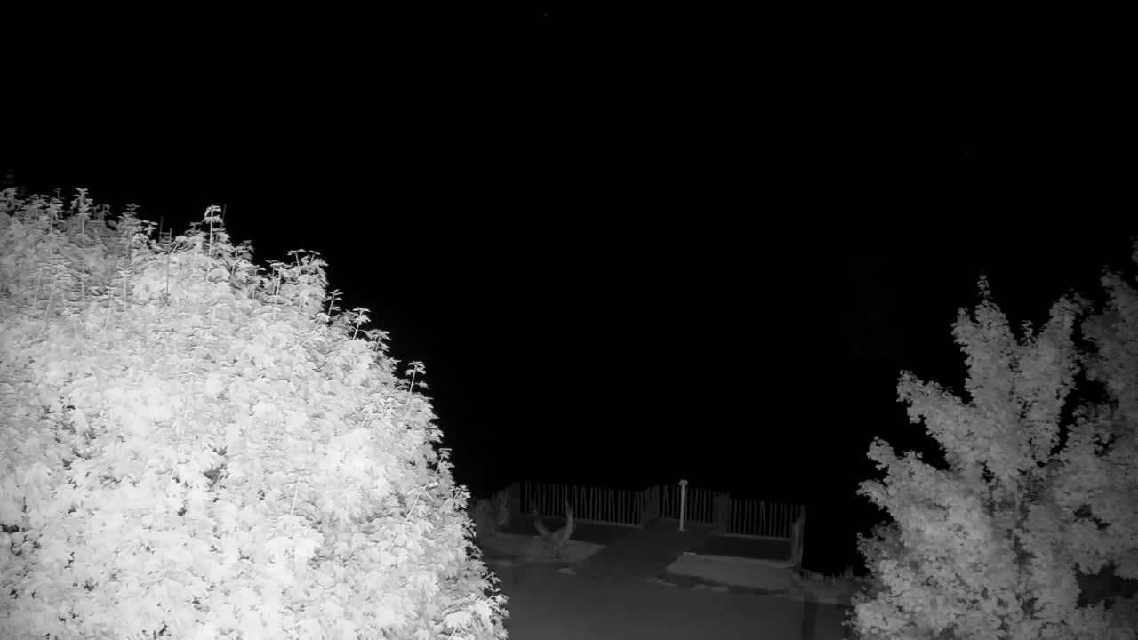 Webcam Ribnik Vrbje – Žalec