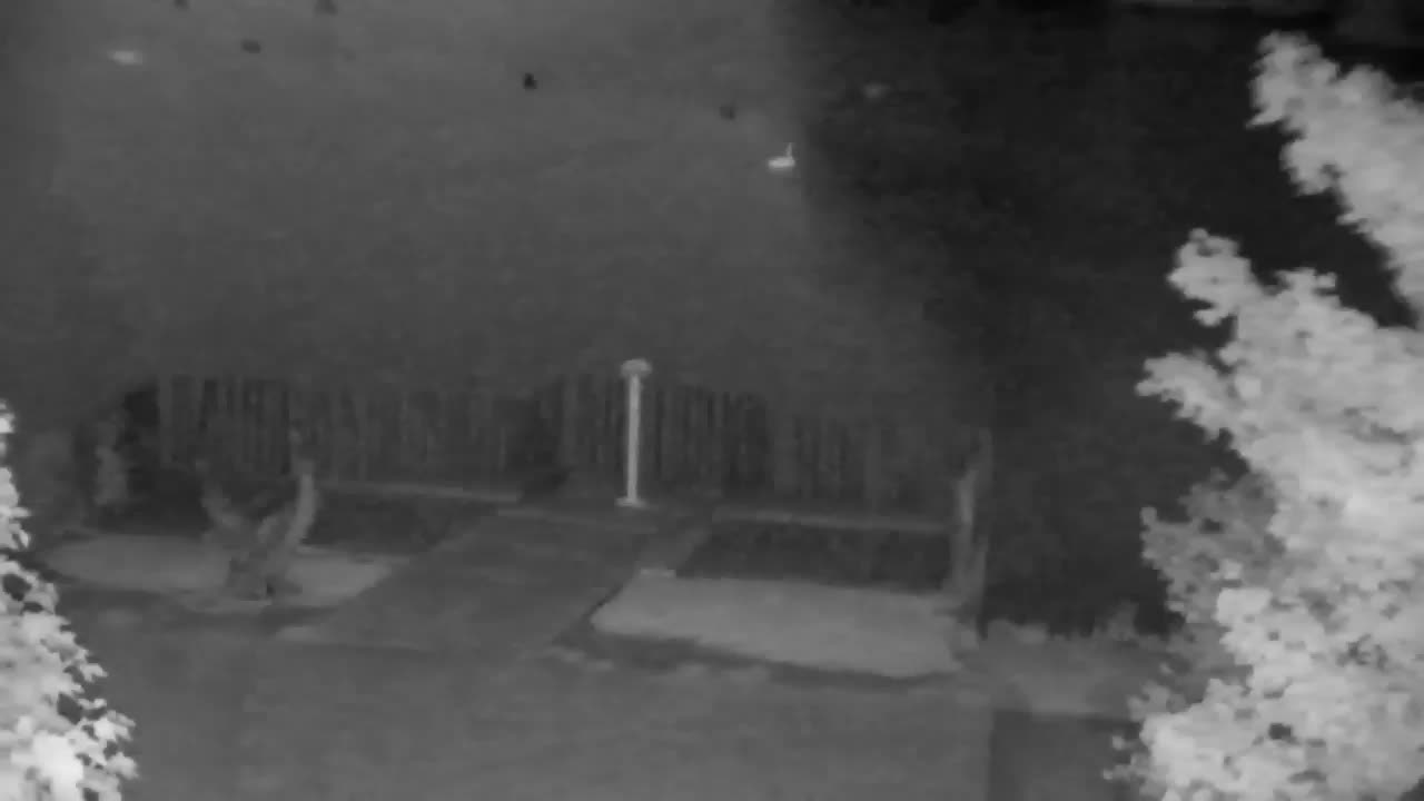 Webcam Ribnik Vrbje – Žalec