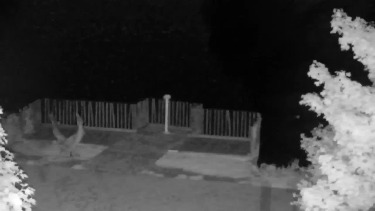 Webcam Ribnik Vrbje – Žalec