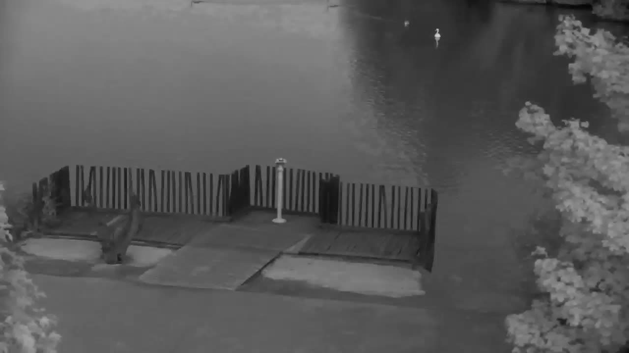 Webcam Ribnik Vrbje – Žalec
