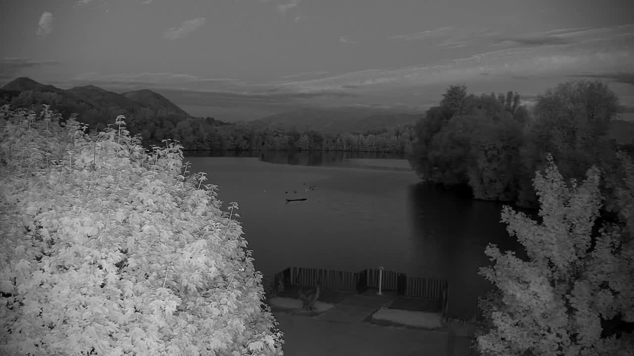Webcam Ribnik Vrbje – Žalec