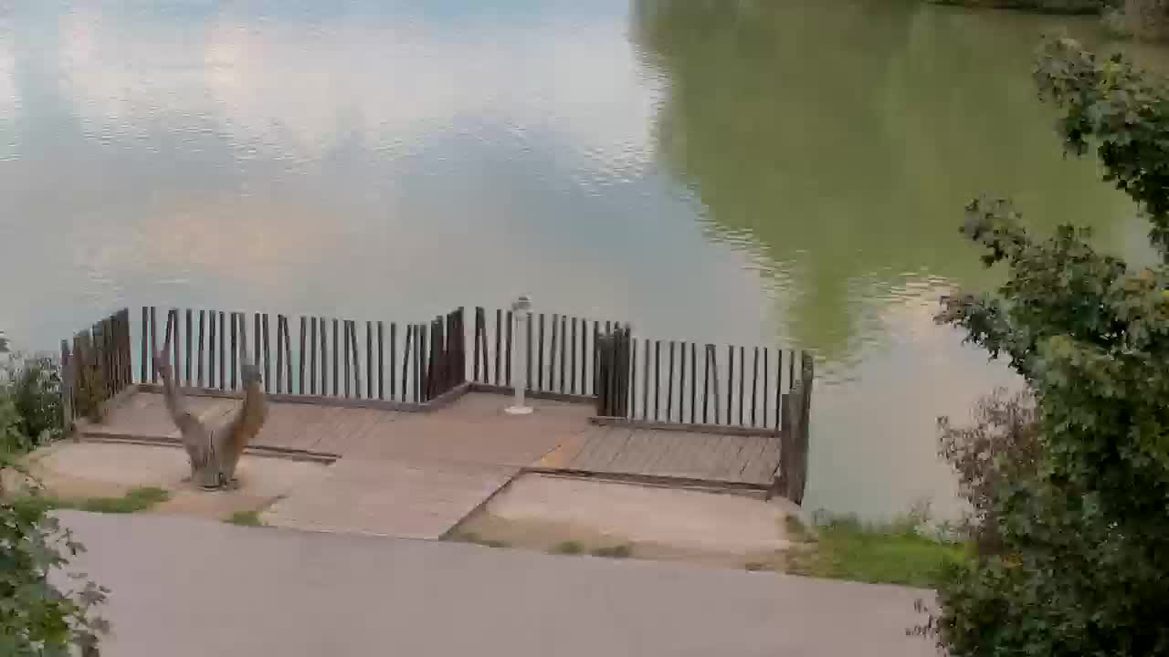 Spletna kamera Ribnik Vrbje – Žalec