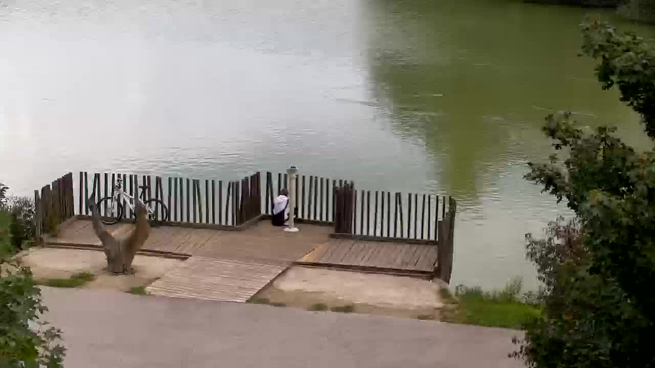 Webcam Ribnik Vrbje – Žalec
