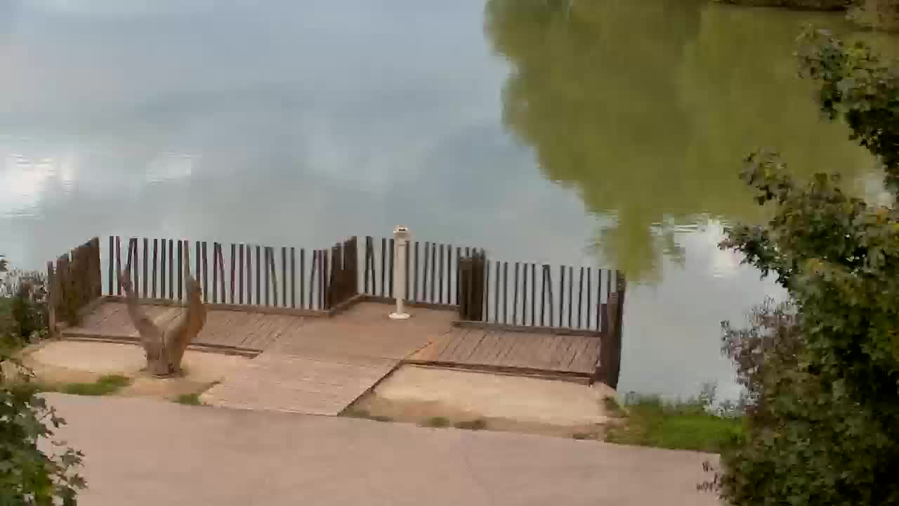 Spletna kamera Ribnik Vrbje – Žalec