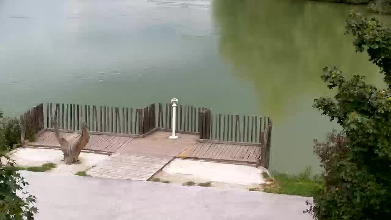 Spletna kamera Ribnik Vrbje – Žalec