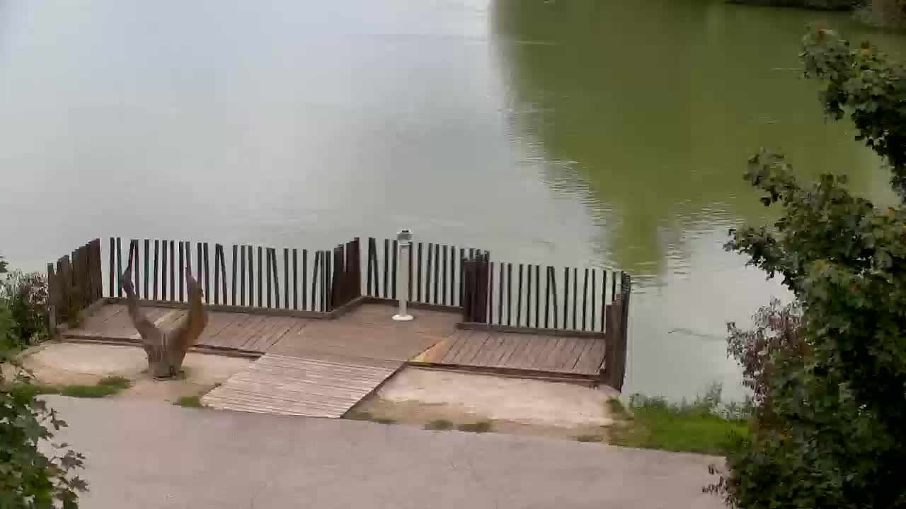 Webcam Ribnik Vrbje – Žalec