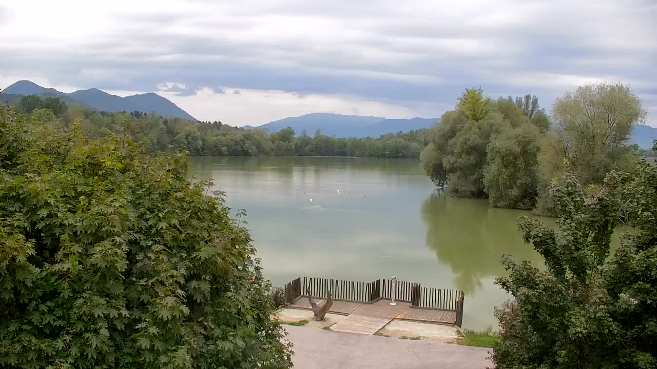 Webcam Ribnik Vrbje – Žalec