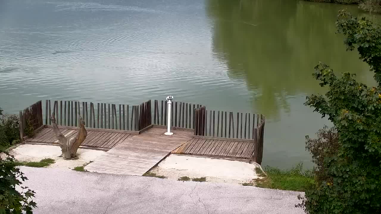 Webcam Ribnik Vrbje – Žalec