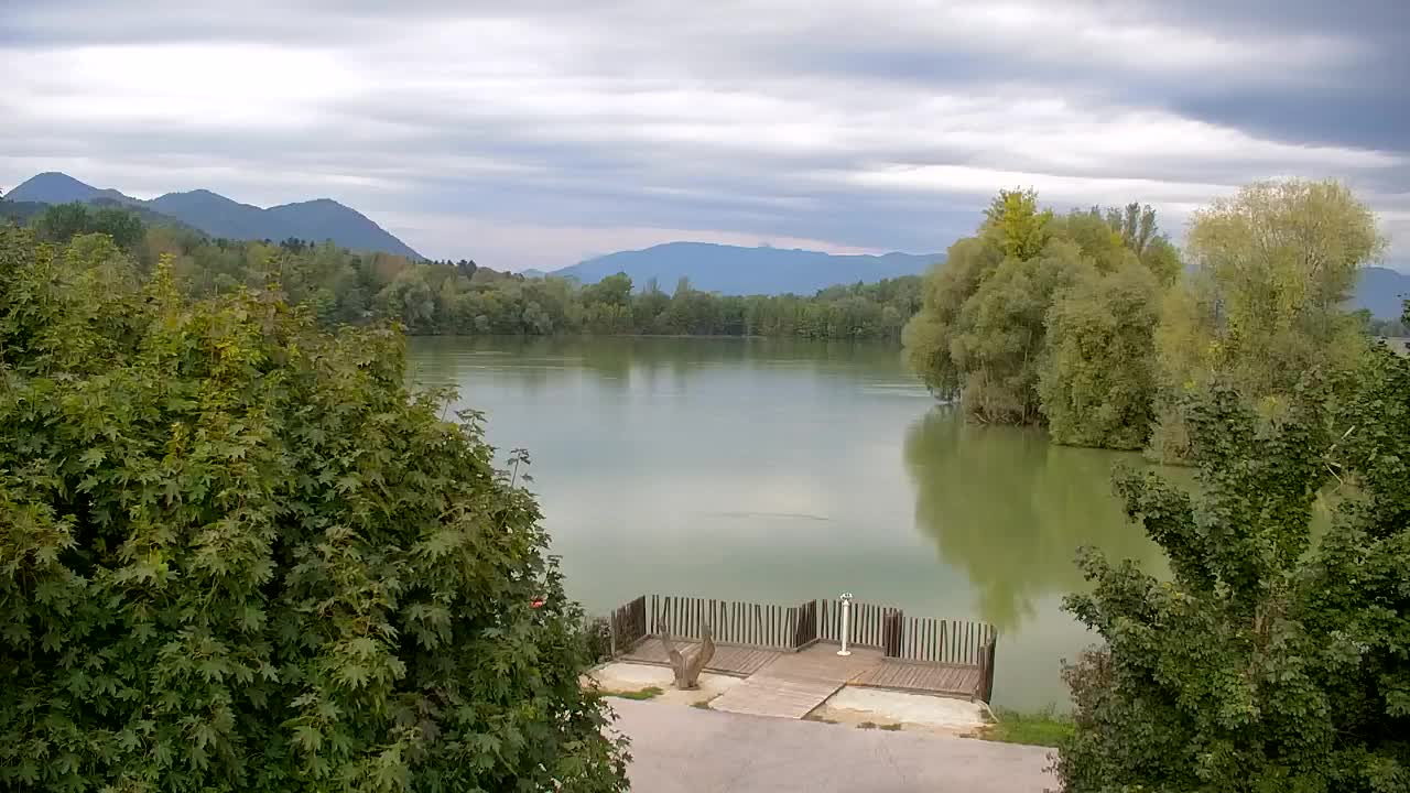 Webcam Ribnik Vrbje – Žalec