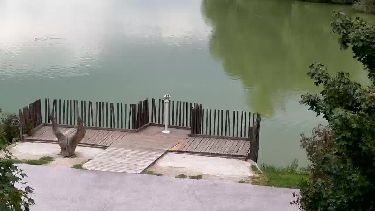 Webcam Ribnik Vrbje – Žalec