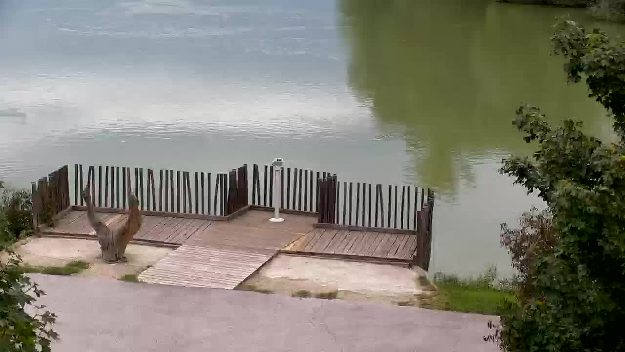 Webcam Ribnik Vrbje – Žalec