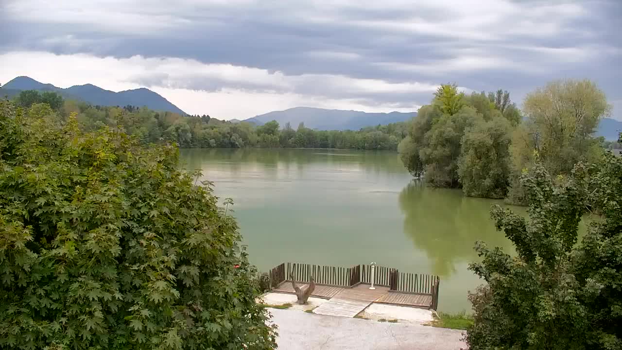 Web kamera Ribnik Vrbje – Žalec