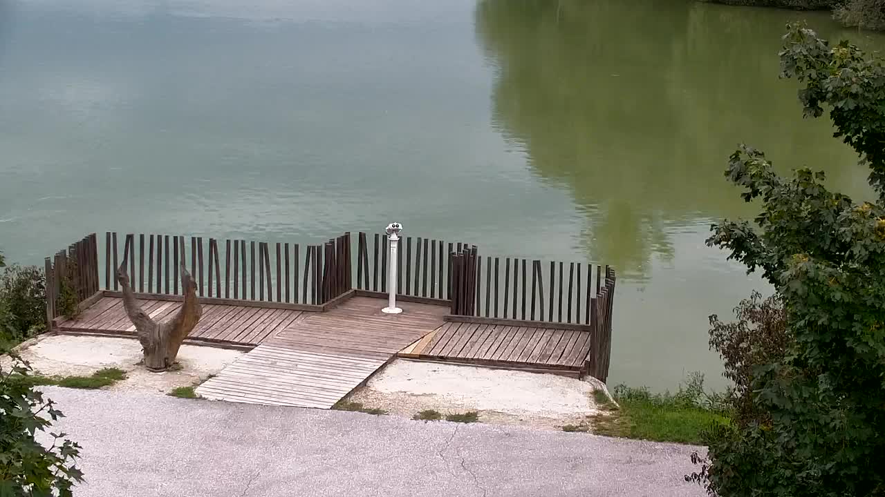 Webcam Ribnik Vrbje – Žalec